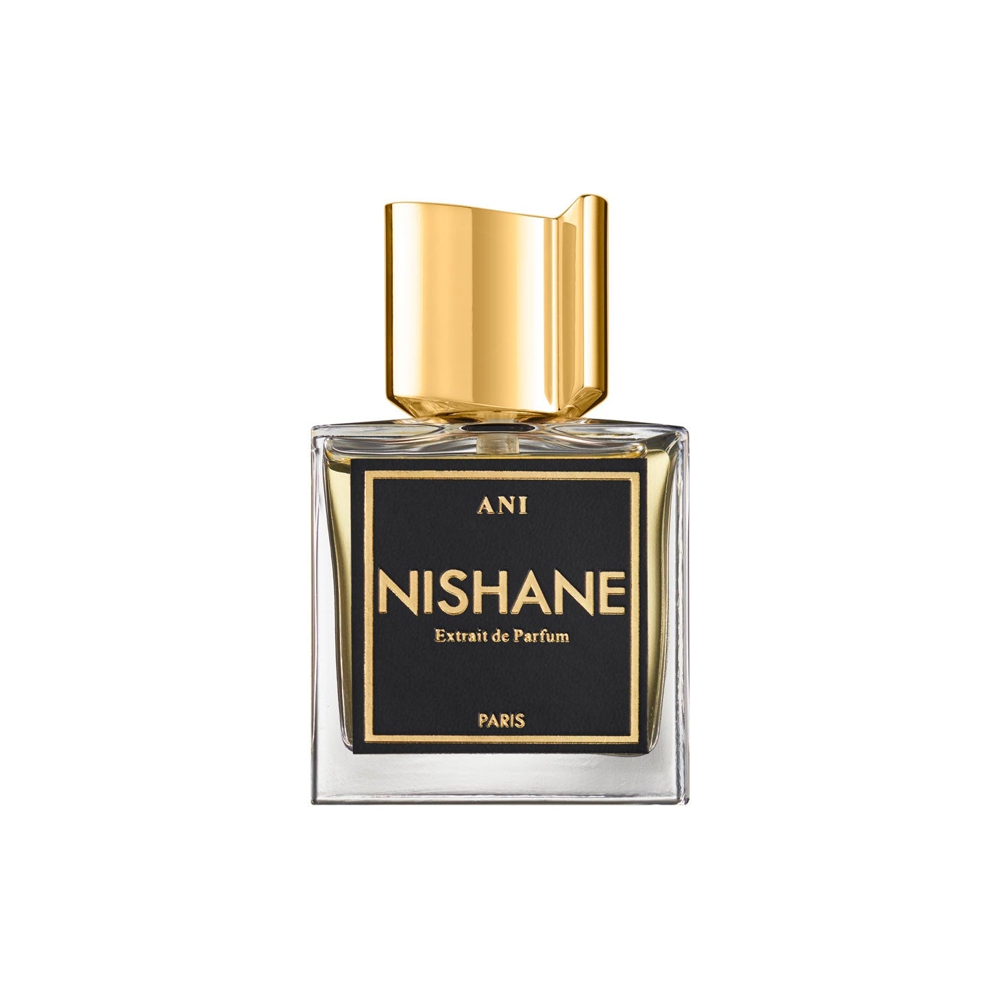 ANI EDP 100ML